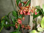 DSC00716.JPG