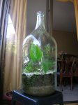 botella3.jpg