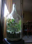 botella5.jpg