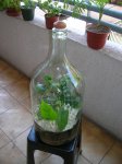 botella6.jpg