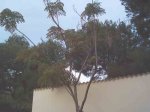 IMG_4782.JPG