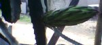 Imagen016.jpg
