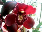 DSCN2694.JPG