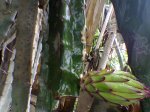 Imagen066.jpg