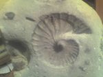 08-02-07_1854.jpg