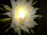 Imagen034.jpg