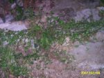 PIC_0014.JPG