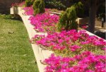 jardin1.jpg