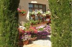 jardin2.jpg