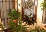 jardin6.jpg