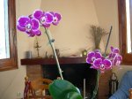 DSCN0832.JPG