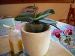 DSCN0830.JPG