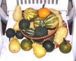 calabacines1.jpg