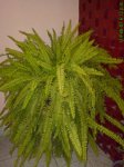 DSC00083c.jpg