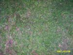 PIC_0011.JPG
