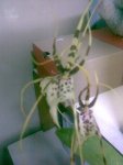 Imagen072.jpg