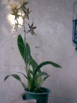 Imagen097..jpg