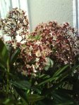 DSC00362.JPG