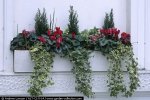 garden collection ventana.jpg