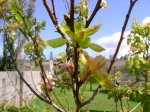 DSC00047.JPG