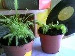 Foto-0075.jpg