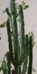 000_1889.JPG