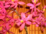 DSCN2720.JPG
