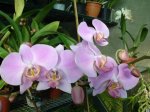 DSC00727.JPG