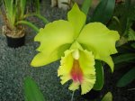 DSC00728.JPG
