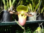 DSC00734.JPG