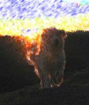 cielos1244.jpg