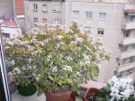 P1000615.JPG