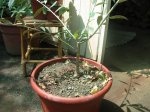 Imagen 002.jpg