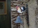 chamador01.jpg