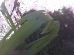 18-02-07_1148.jpg