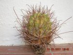 DSCN3328.JPG