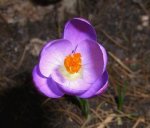 CIMG0370.JPG