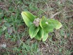 DSCN0840.JPG