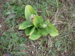 DSCN0841.JPG