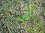 DSCN0839.JPG