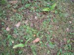 DSCN0844.JPG