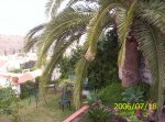 casita1.jpg