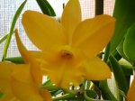 DSC00742.JPG
