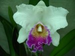 DSC00744.JPG