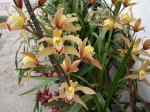 DSC00745.JPG