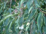 DSC03664.JPG