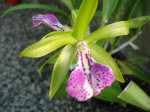 DSC00737.JPG
