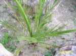 PIC_0018.JPG