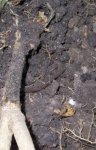 100_2899.jpg