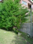 DSC03821.jpg